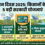 किसान दिवस 2025