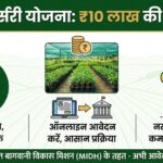 Nursery Subsidy 2026: अब नर्सरी बिजनेस से कमाएं लाखों! सरकार दे रही है ₹10 लाख की सब्सिडी - जानें कैसे