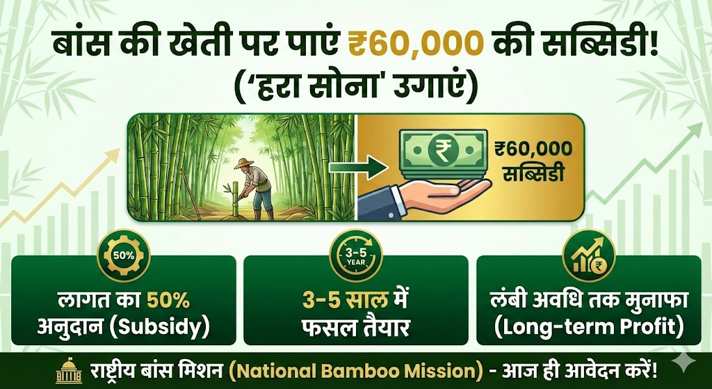 Bamboo Farming Subsidy 2024: सरकार दे रही है ₹60,000 – आज ही आवेदन करें!